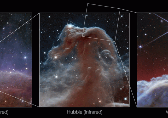 Horsehead-Nebula.webp