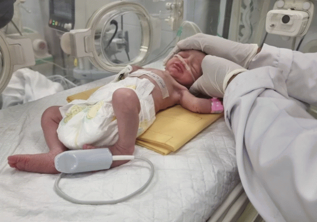 premature-Palestinian-baby.webp